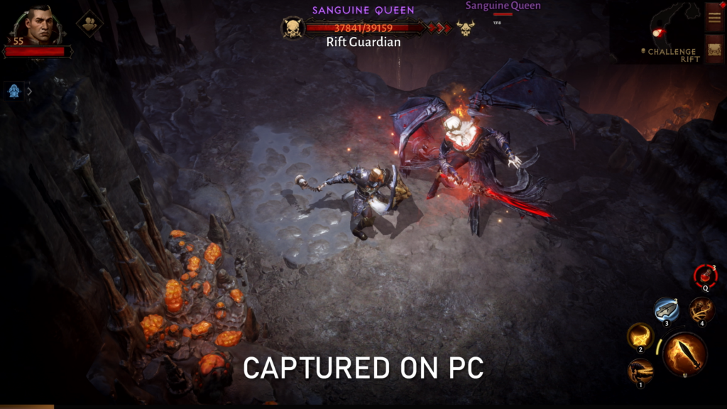 Diablo Immortal gameplay captured on PC