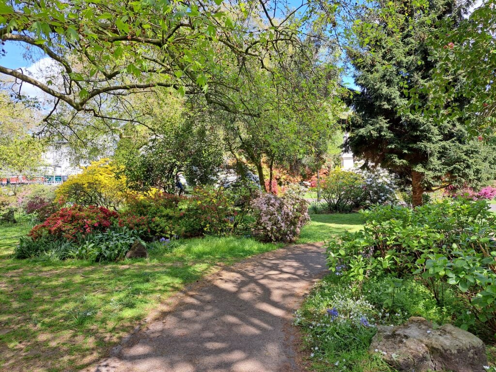Samsung Galaxy A53 5G image of path in garden
