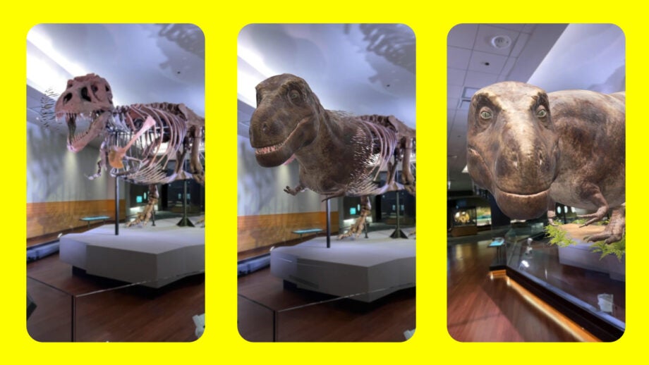 Snapchat location lens Field Museum Sue the Dinosaur Triptych