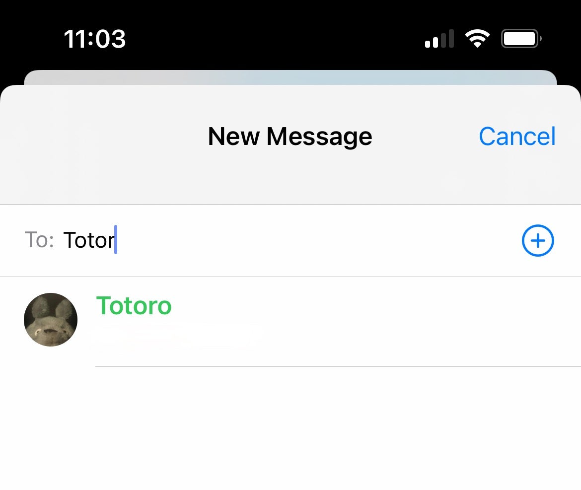 iOS Messages forward recipient