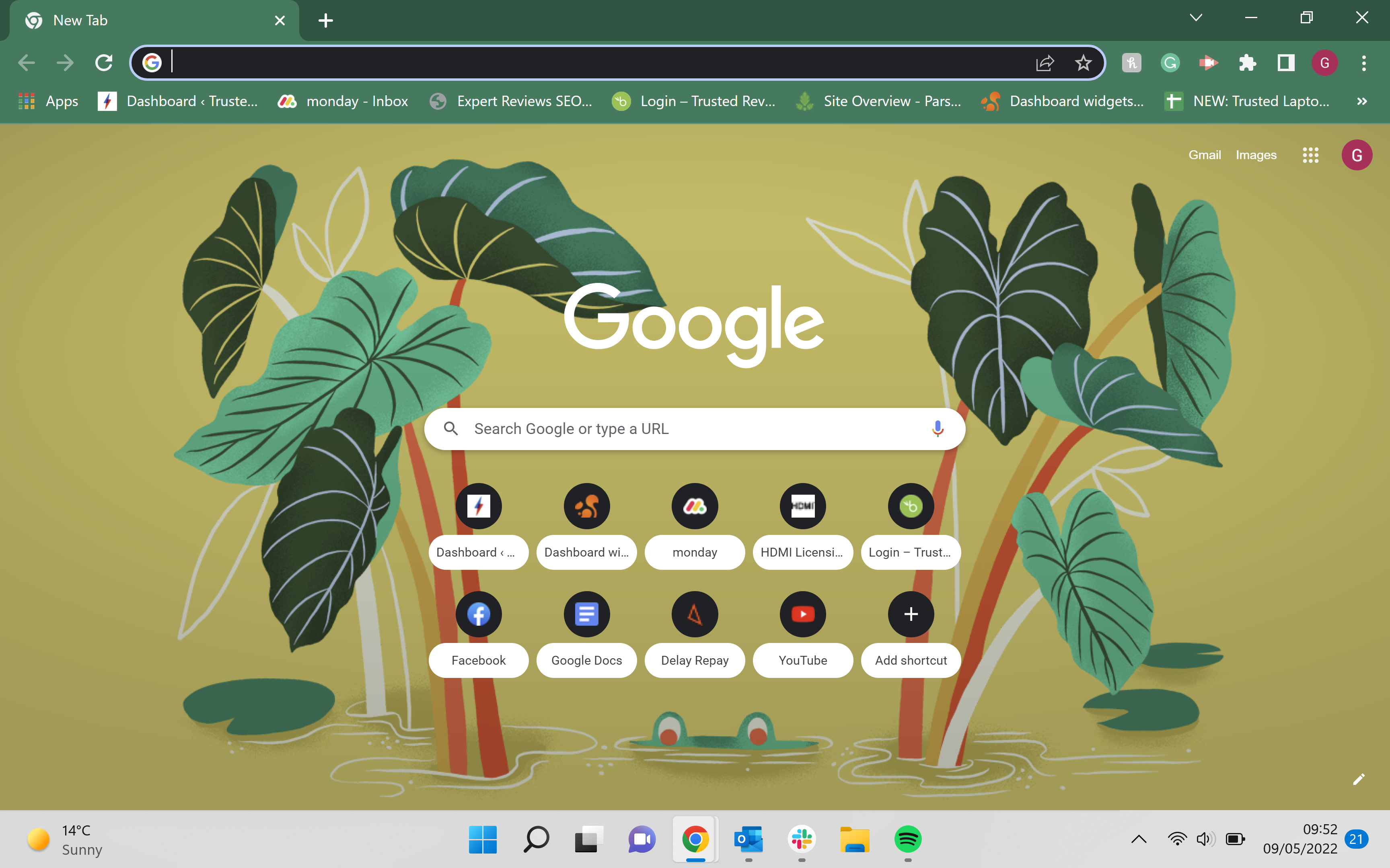 The home page of Chrome in Green