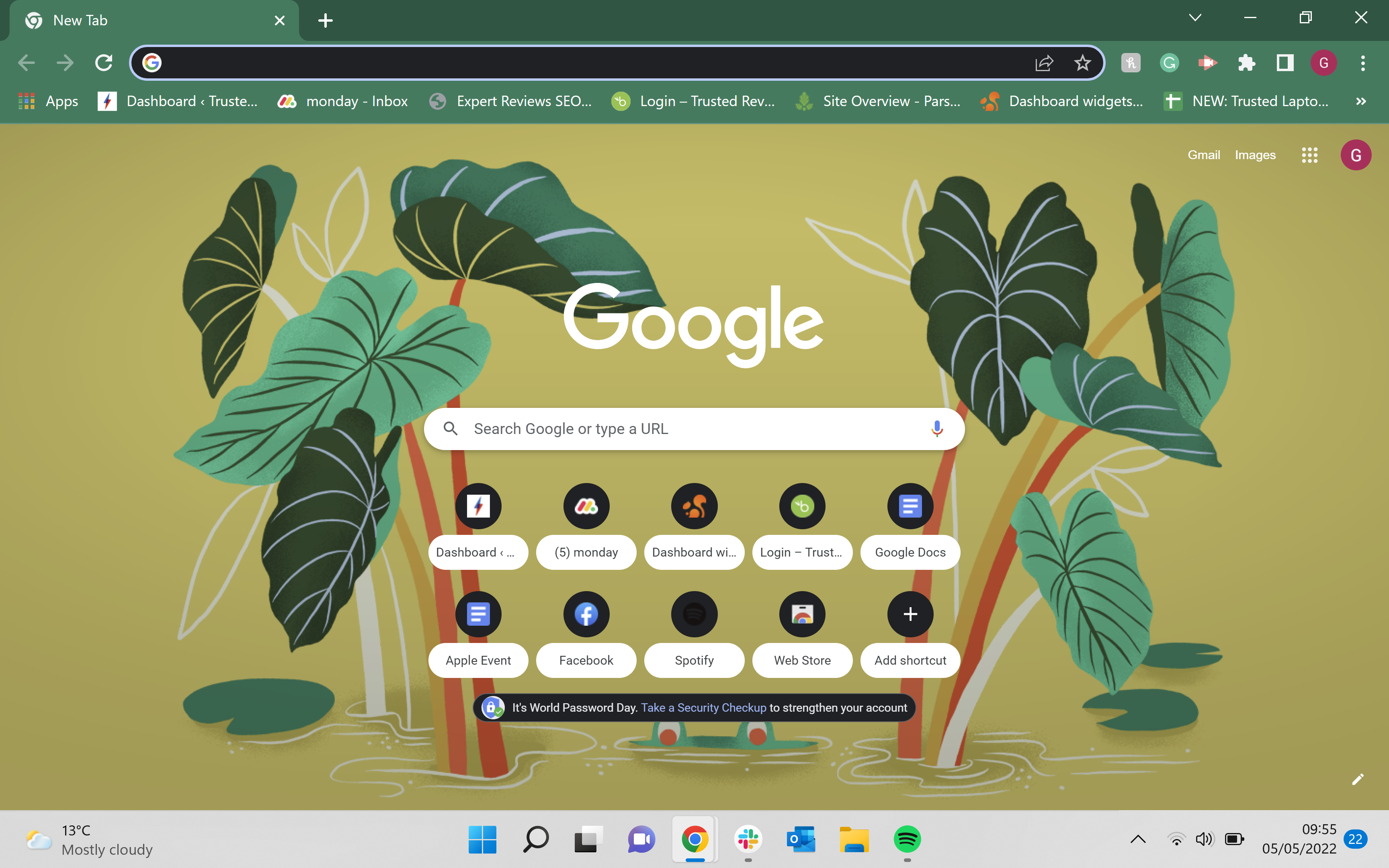 The Google Chrome home page in green