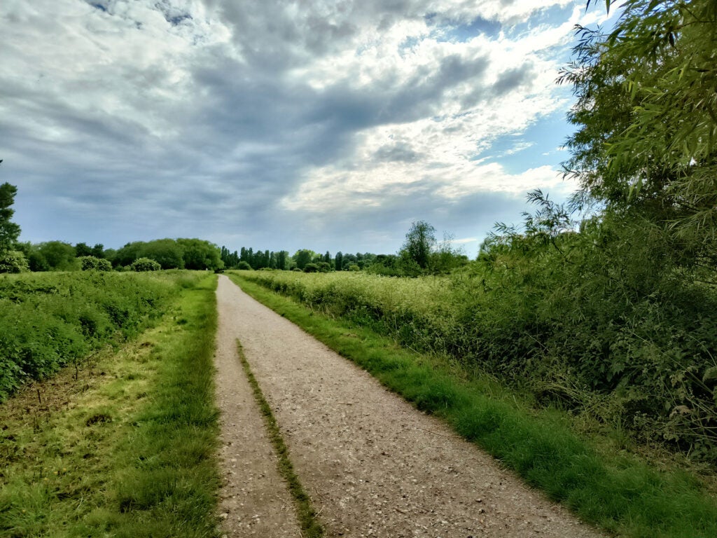 Realme GT Neo 3 image of countryside path
