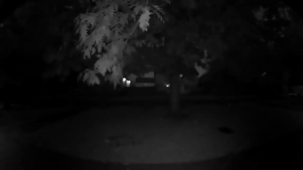 Blink Video Doorbell night sample