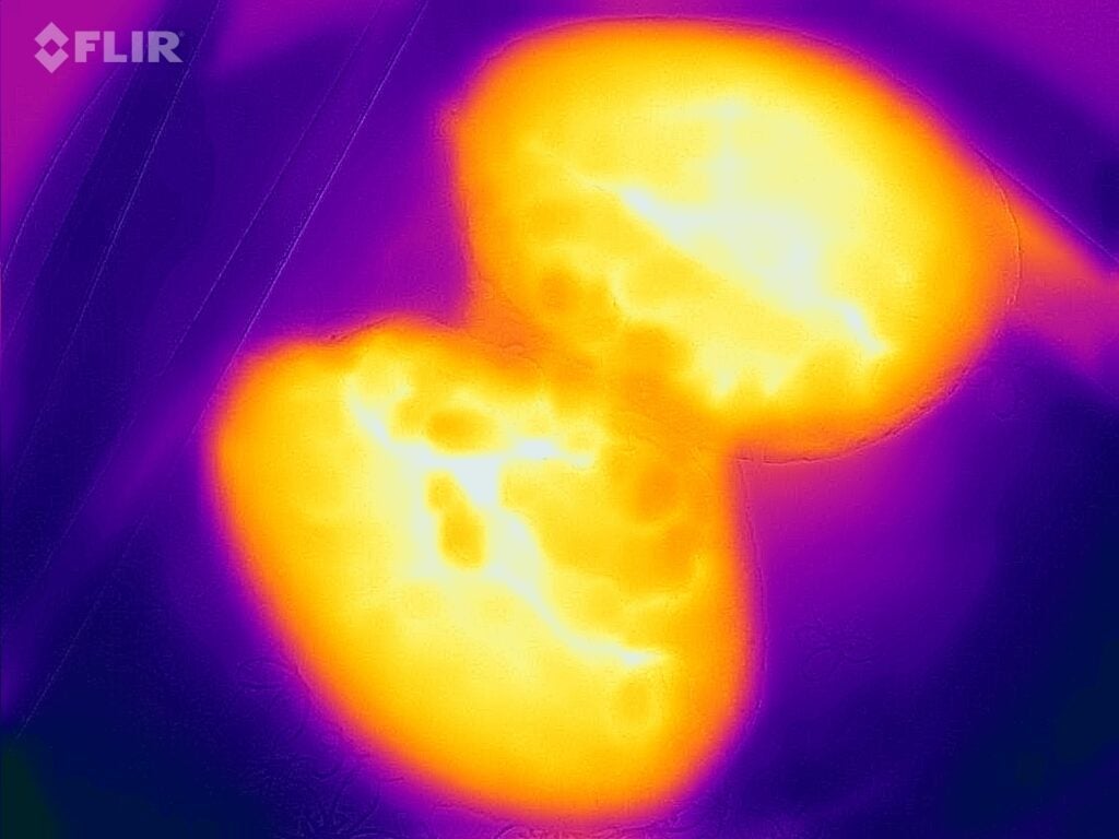 Thermal map of jacket potato after 8 minutes in the Hisense H28MOBS8HGUK