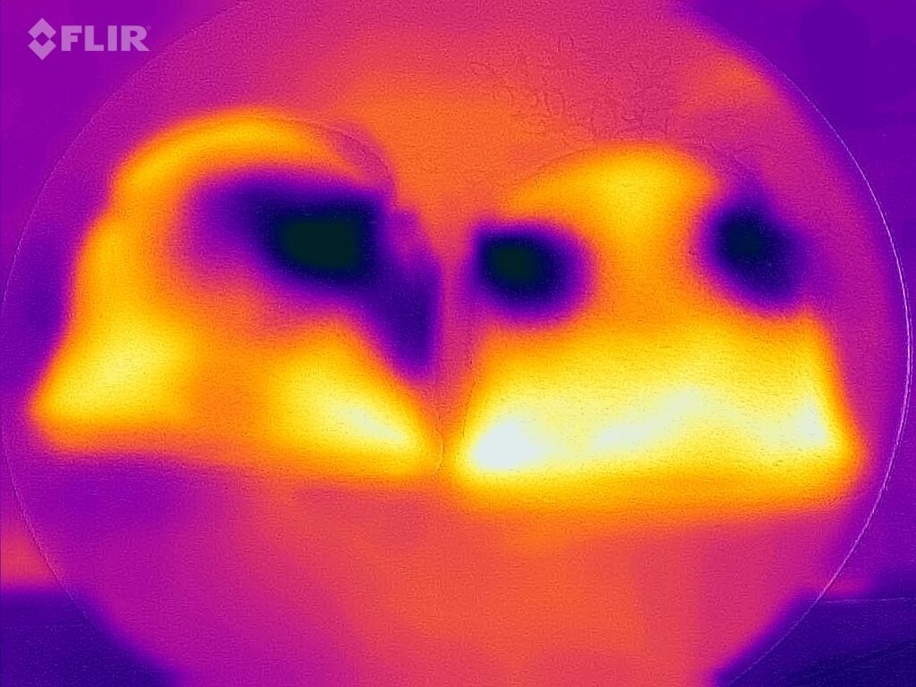 Thermal map of bread from the Hisense H28MOBS8HGUK