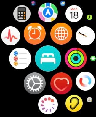 Faceți clic pe aplicația Setări de pe Apple Watch