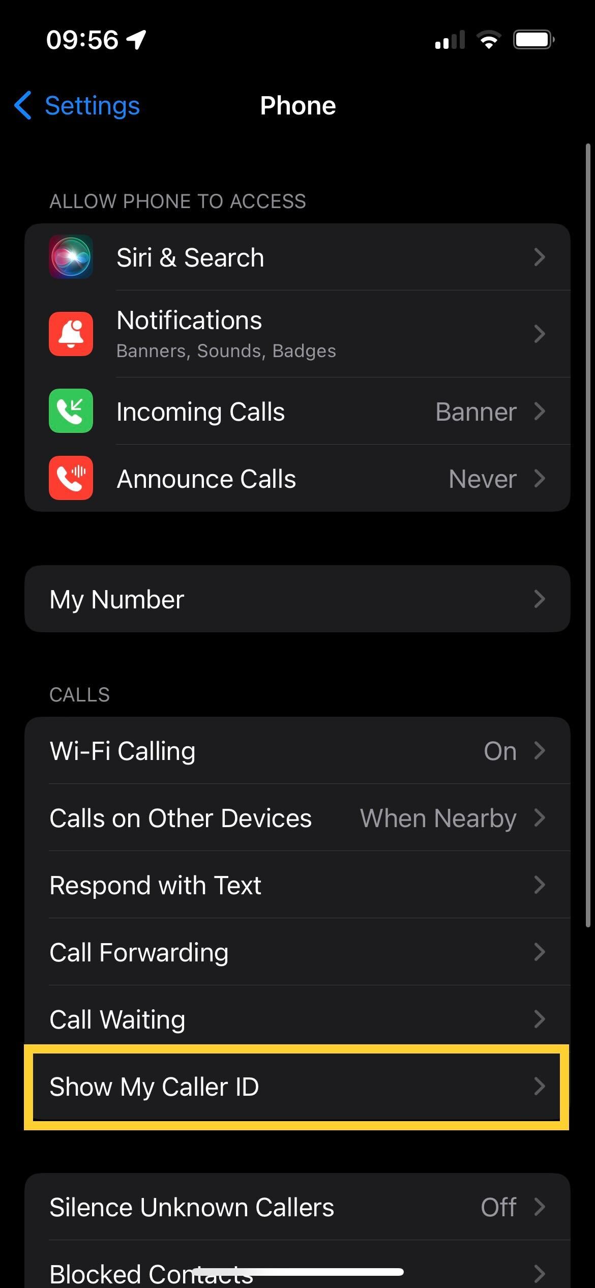 The Show Caller ID button in iOS