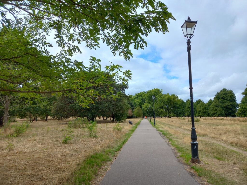 Samsung Galaxy M22 фото дорожки в парке
