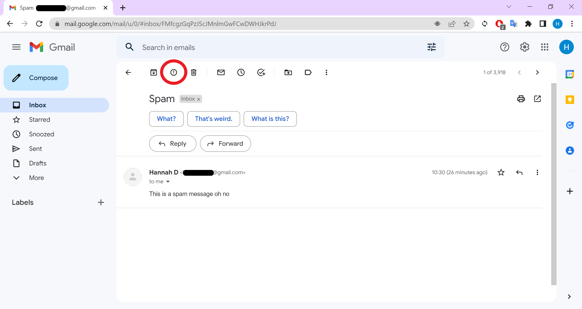 Come segnalare lo spam in Gmail
