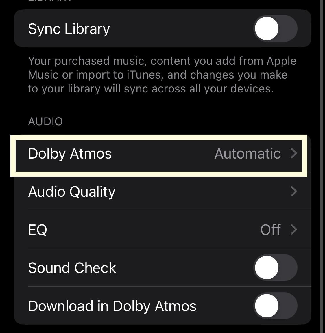 Dolby Atmos button on iOS