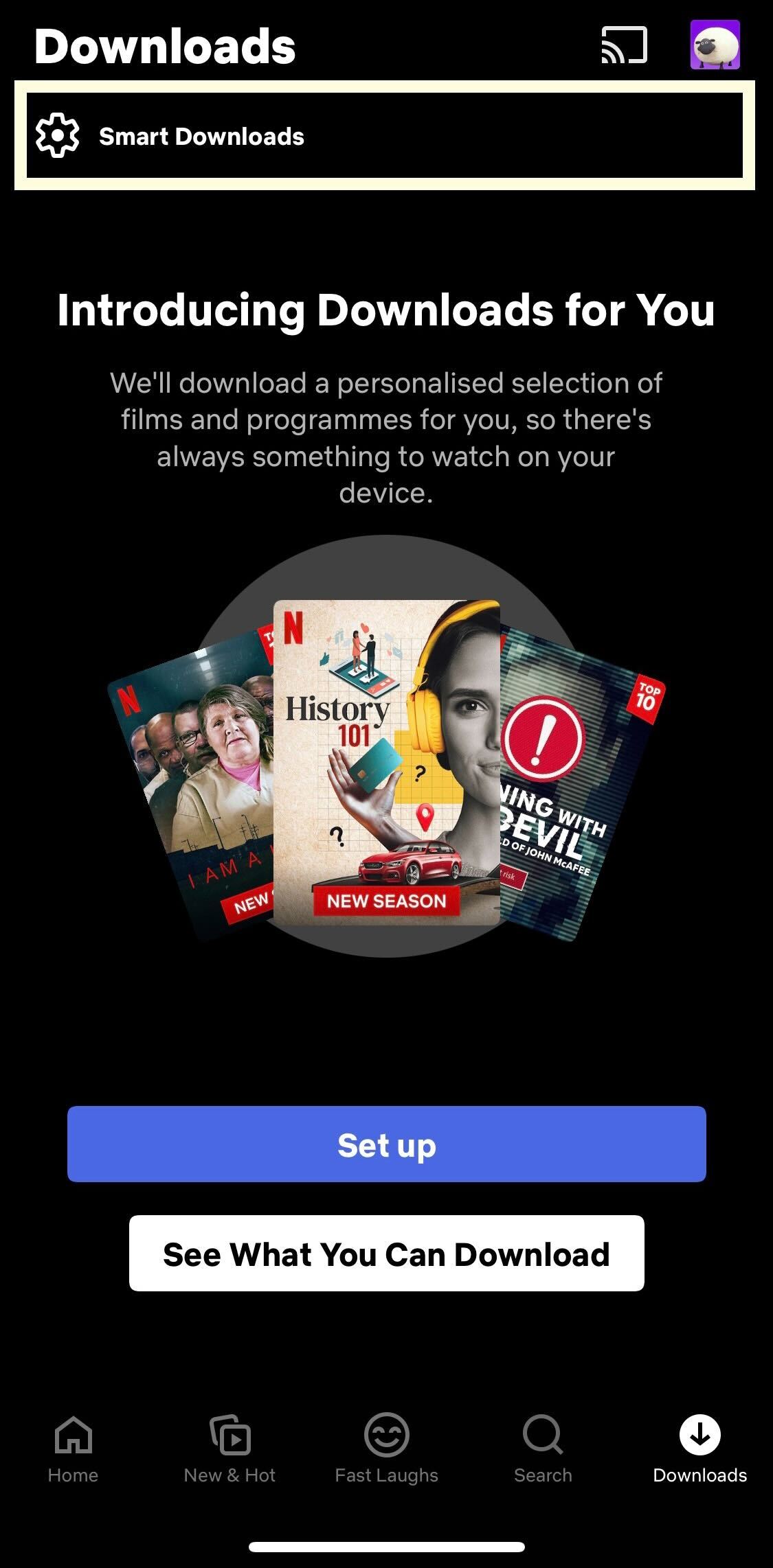 Smart Downloads buttons Netflix