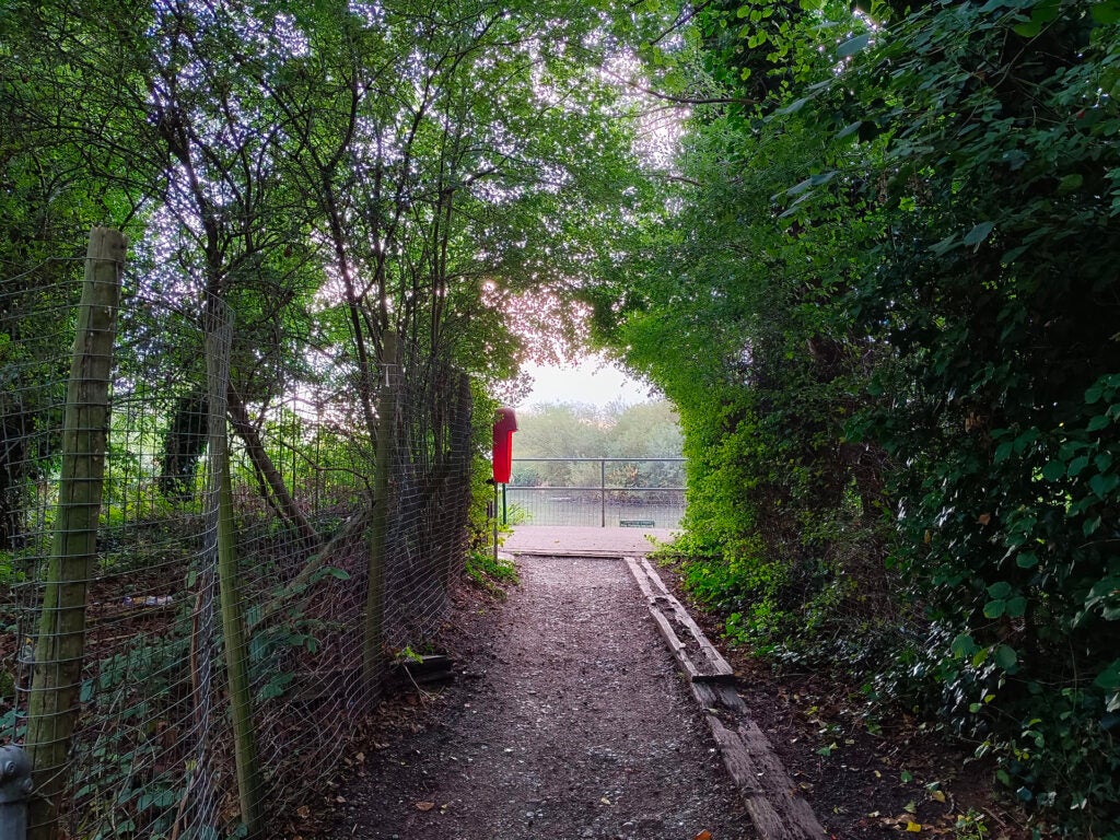 Pathway leading to a gate at sunset with trees