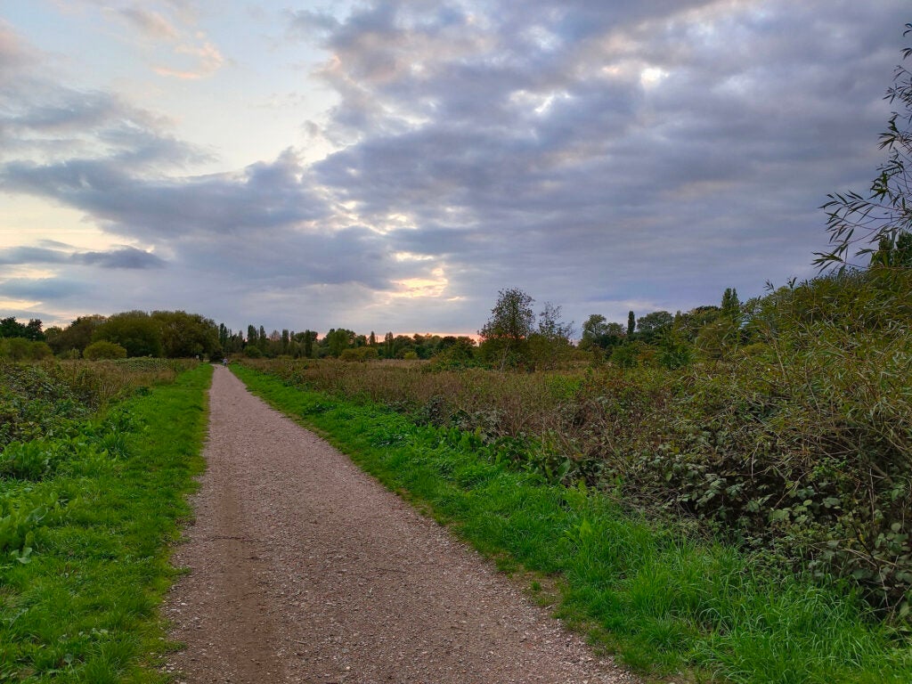 Photo of a pathway in a lush field at dusk.Gravel path through a lush field at sunset.