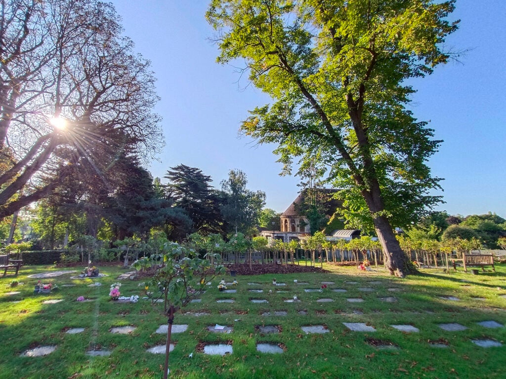 Vivo V25 camera sample of a sunny park with gravestones.