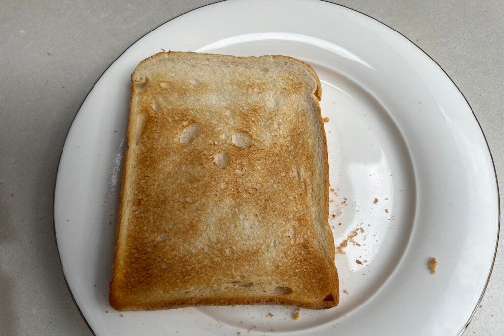 Toasted sandwich on a white plate with grill marks.