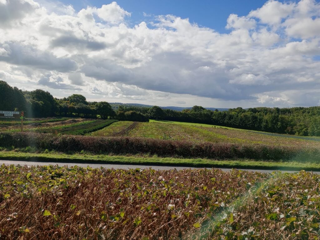 Shot of a field taken on the TCL 30 SE