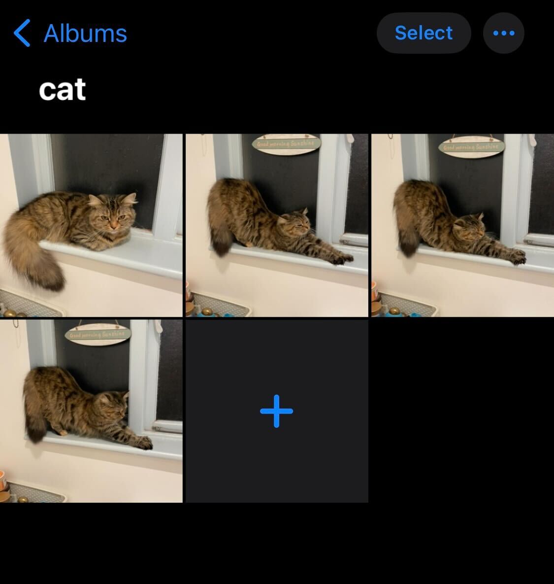 Select images iOS 16