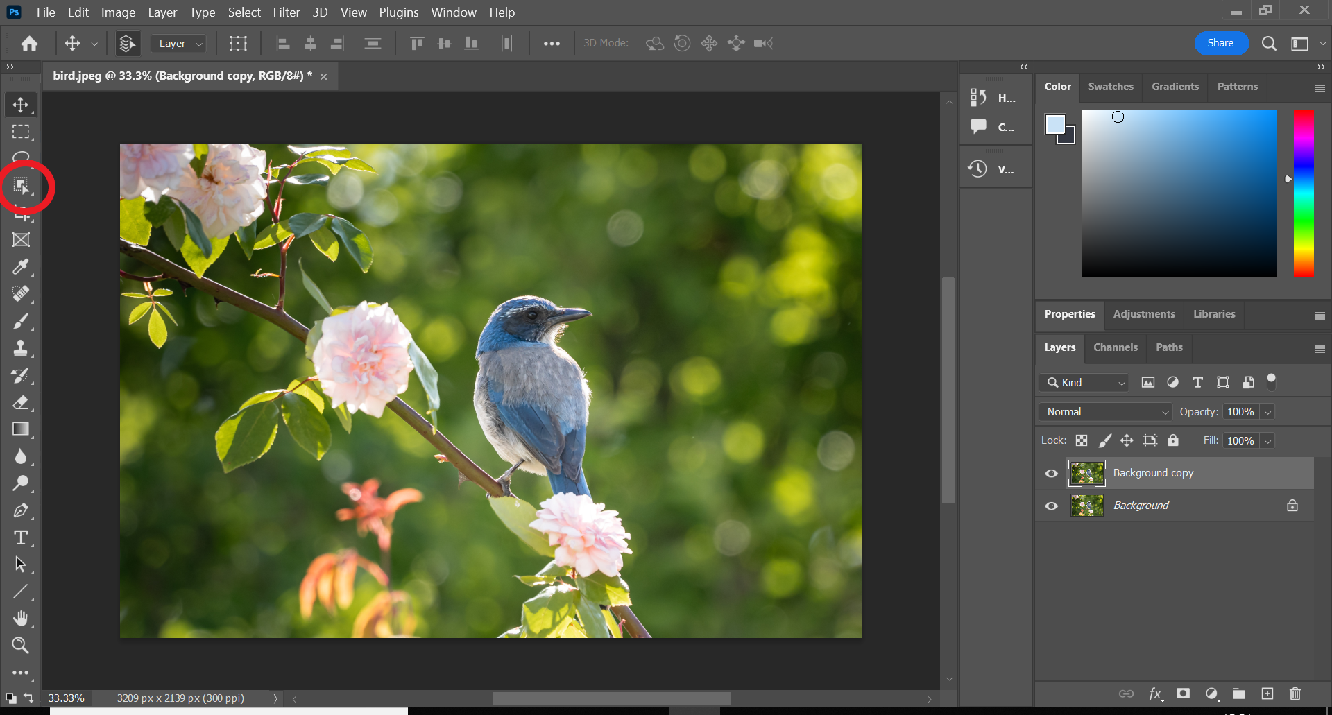How to blur an object in Photoshop