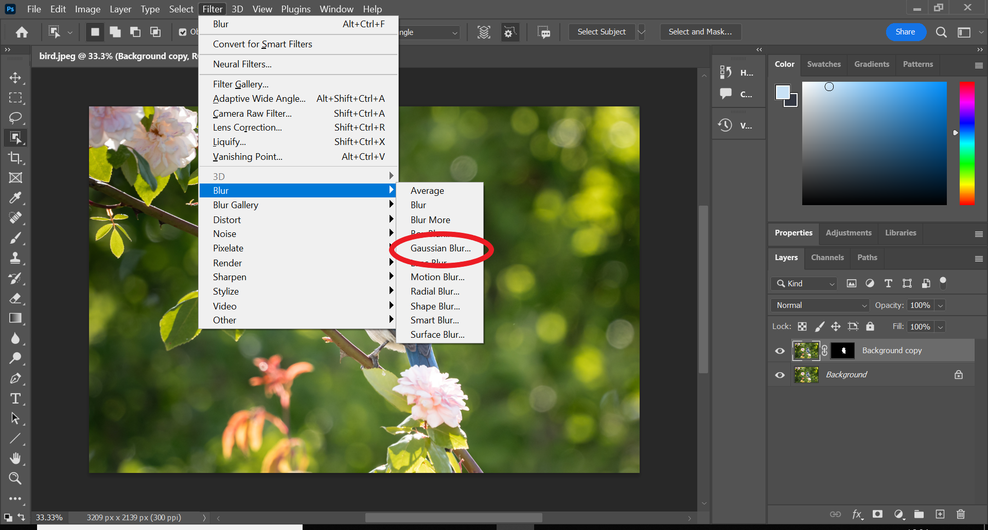 How to blur an object in Photoshop