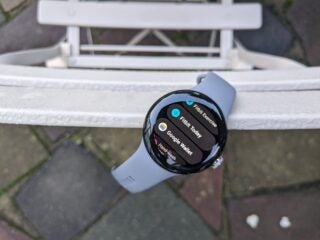 Apps on the Google Pixel Watch