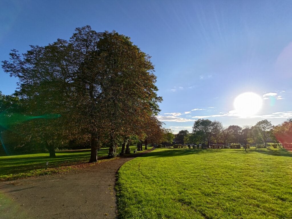 Asus Zenfone 9: фотография дорожки в парке с эффектом солнечных пятен