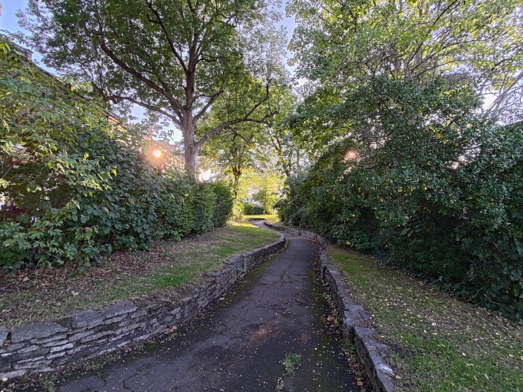 Asus Zenfone 9 ultrawide photo of path in the woods