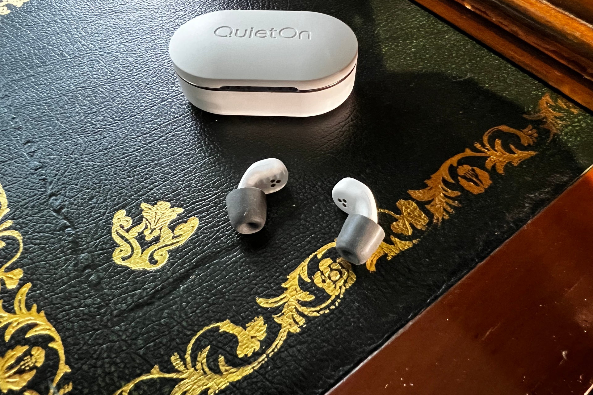 QuietOn 3.1 ear tips