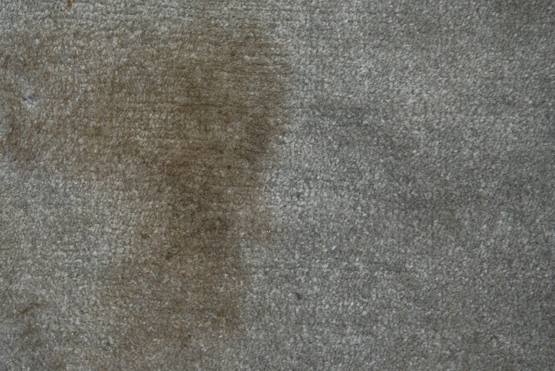 A mud stain on a carpet