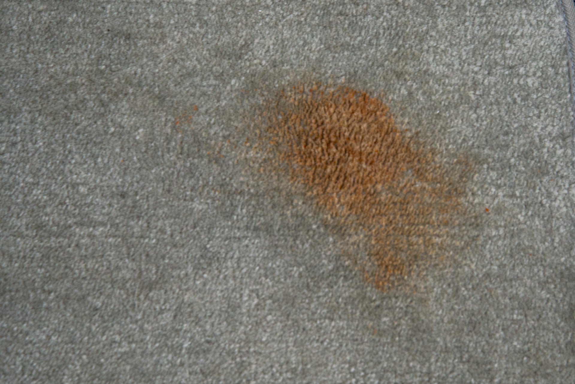 A ketchup stain on a carpet