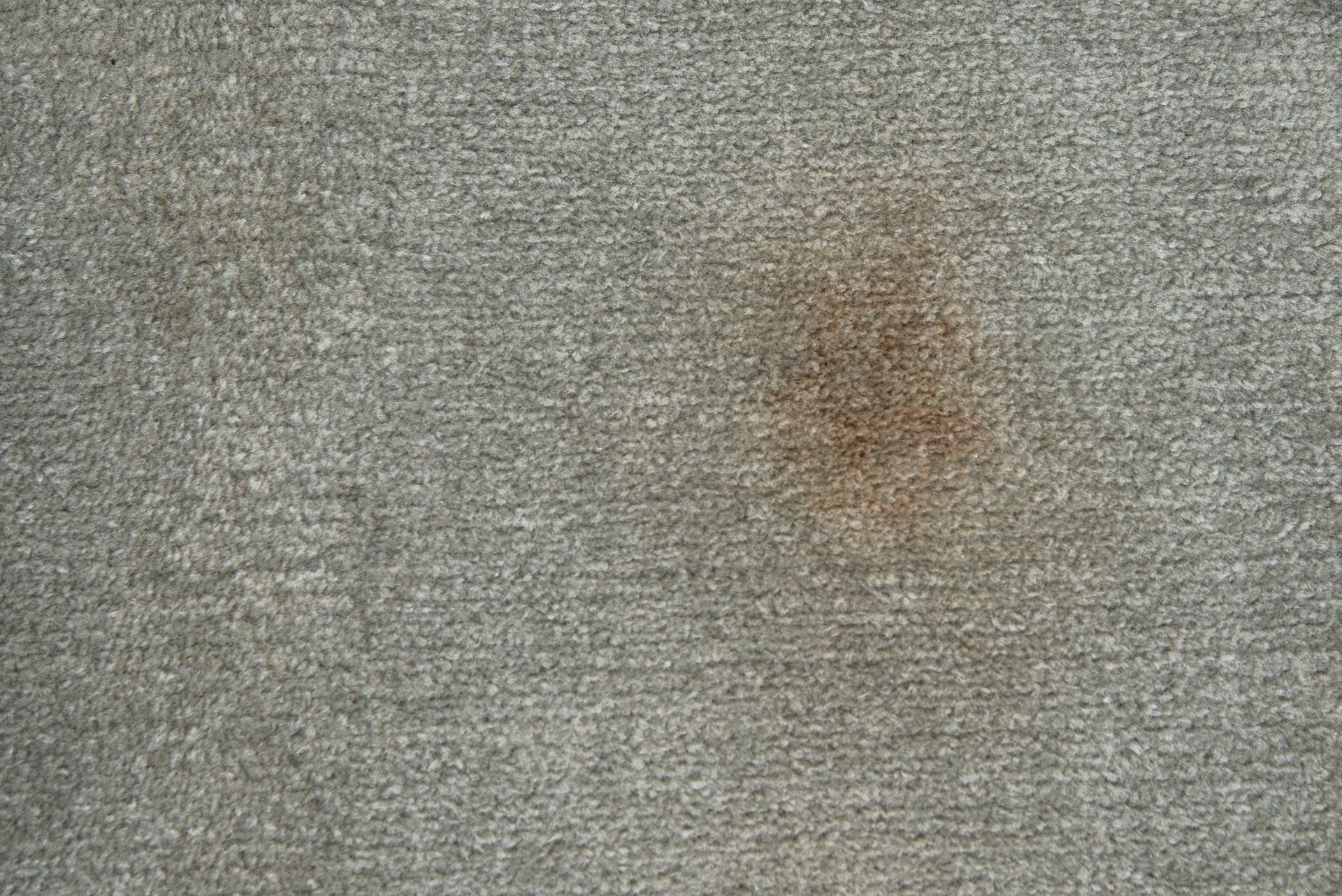 A faint ketchup stain after an initial pass with the Tineco Carpet One Pro