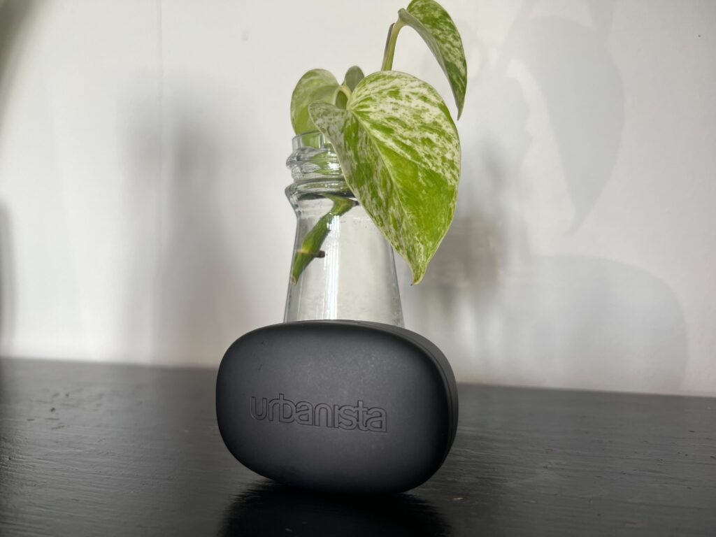Urbanista Seoul earbuds propped up against a plant