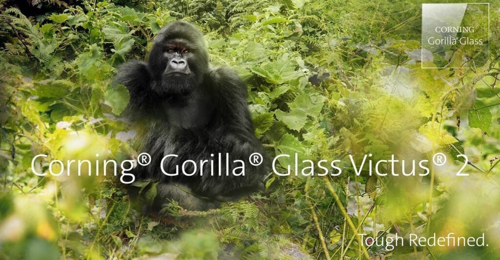 Gorilla Glass Victoria 2