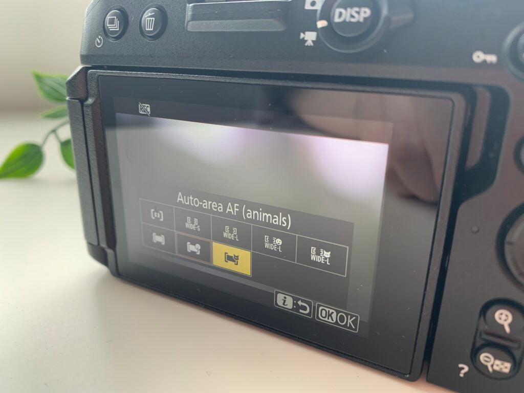 Nikon Z30 autofocus