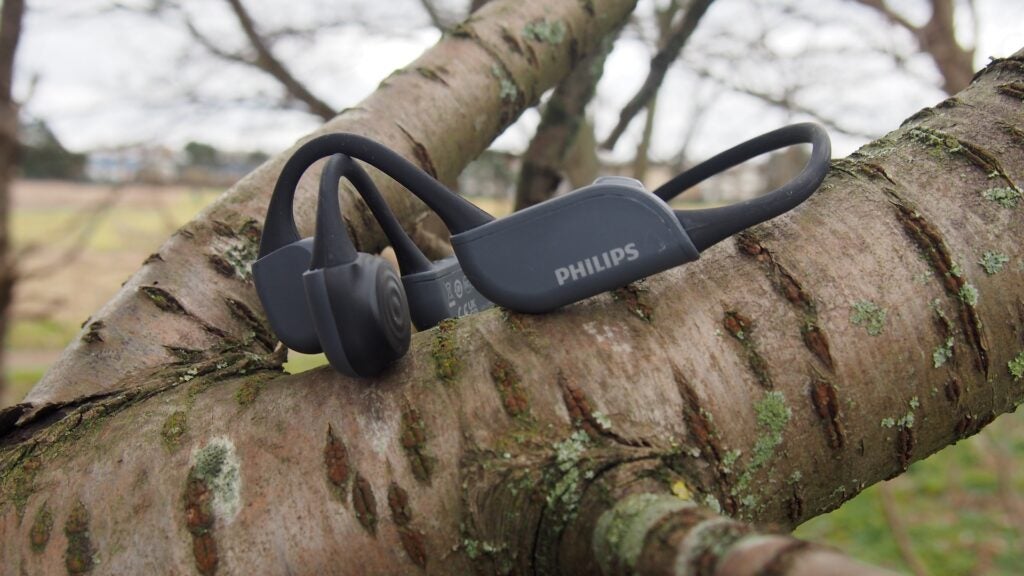 Philips TAA6606 pada dahan pohon