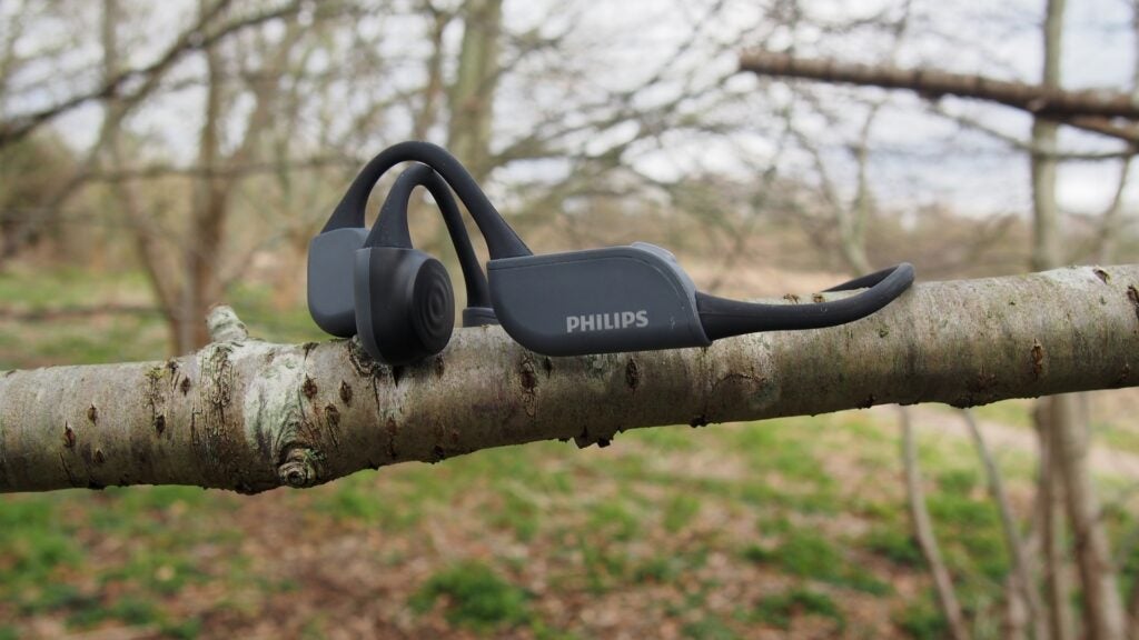 Philips TAA6606 resting on tree
