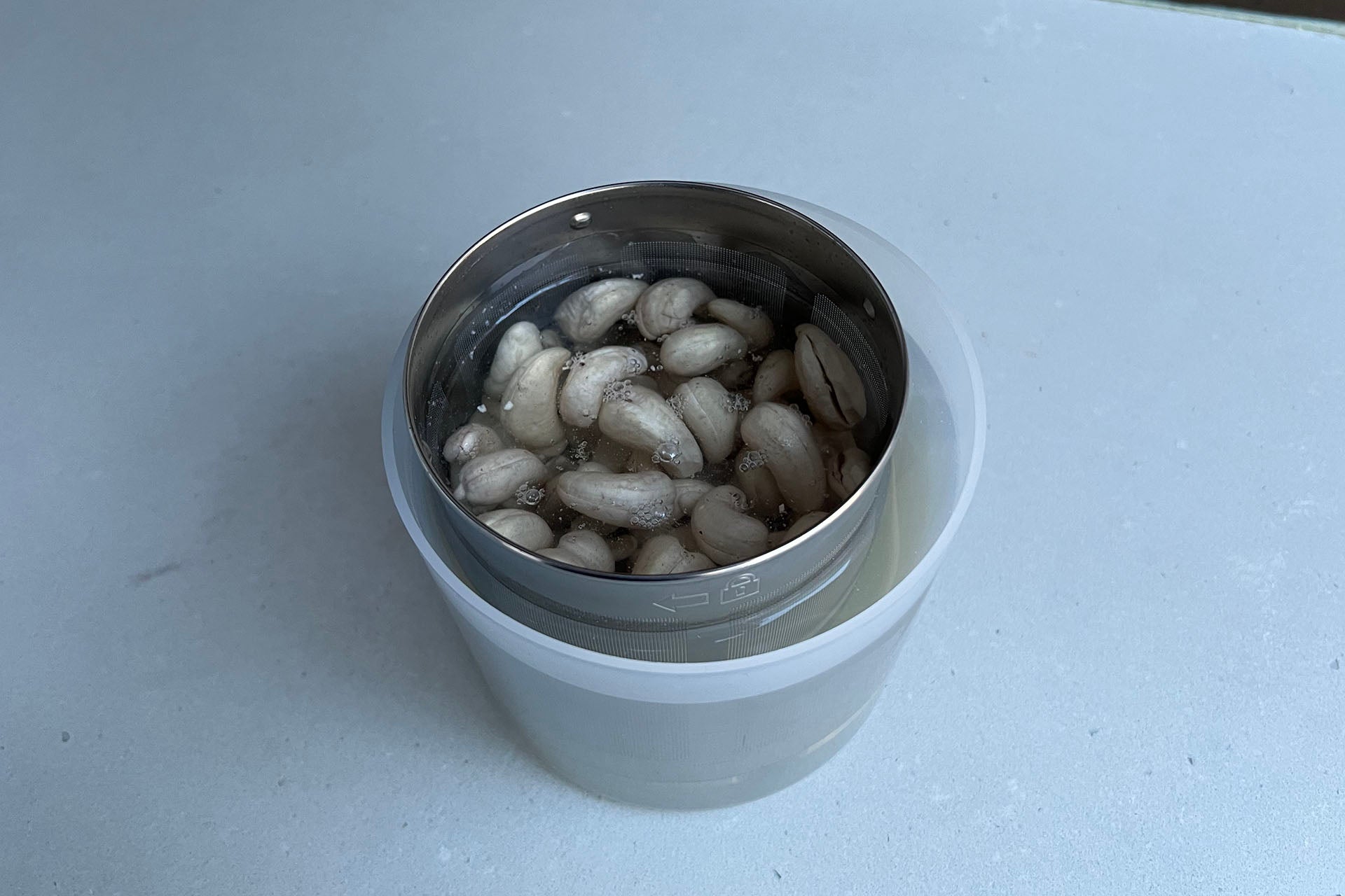 Salter Plant Milk Maker soaking cashew nuts
