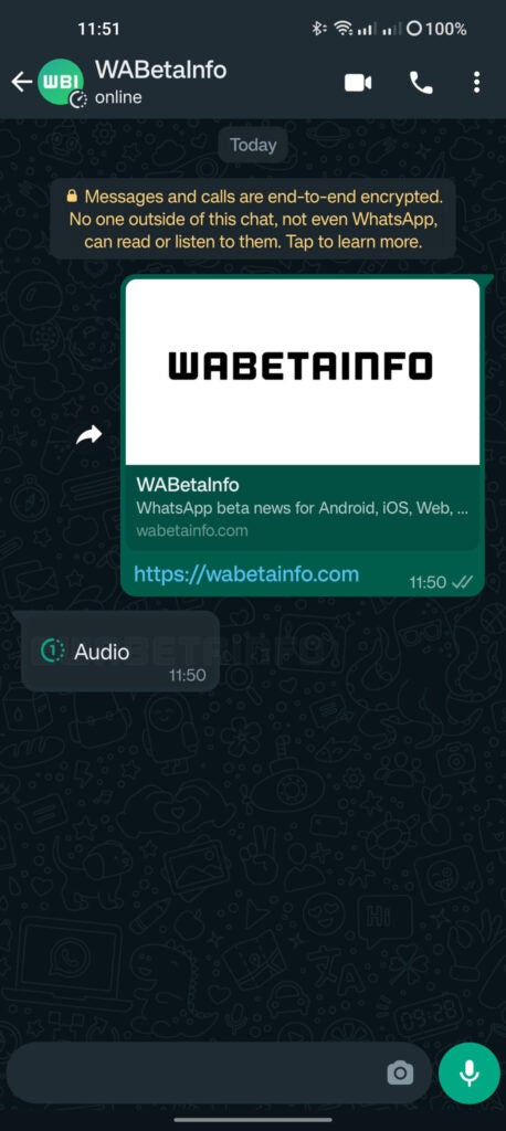 WhatsApp View Once audio messages