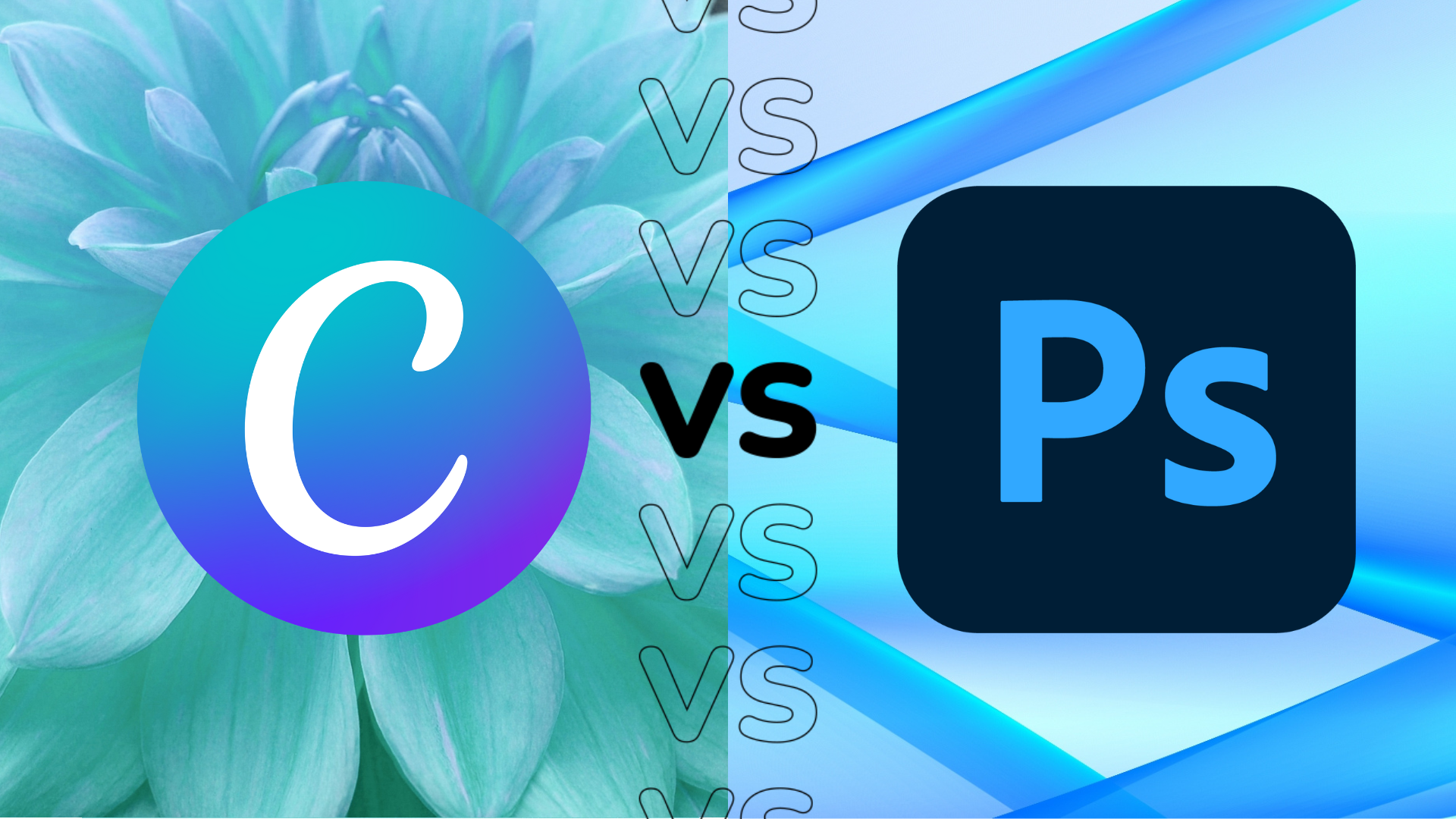 Canva vs Photoshop: How do they evaluate? | Digital Noch