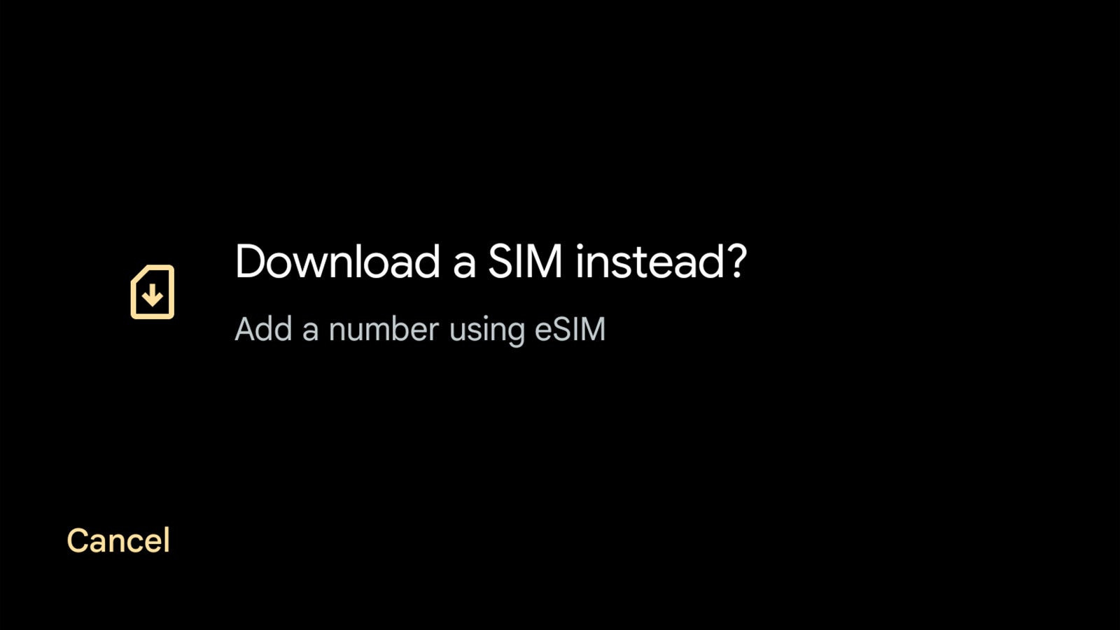 Download an eSIM instead