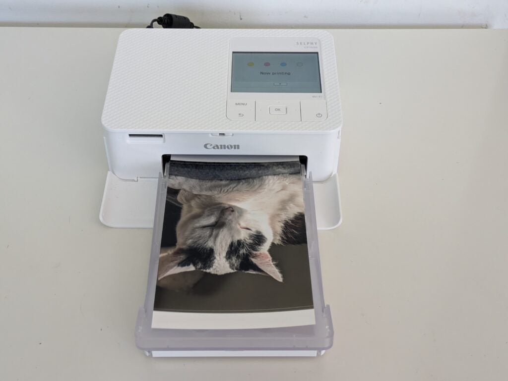Canon Selphy CP1500 printing out photo of a cat