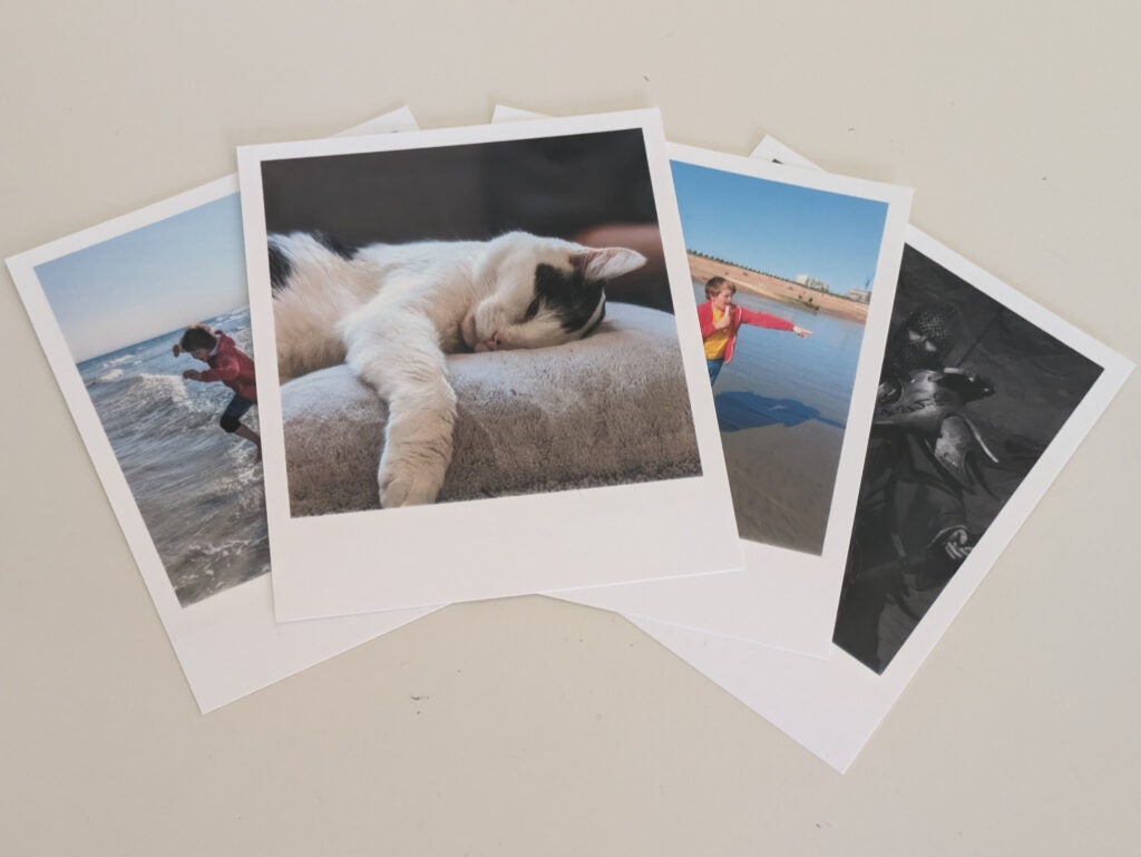 A selection of photos printed with the Selphy QX10