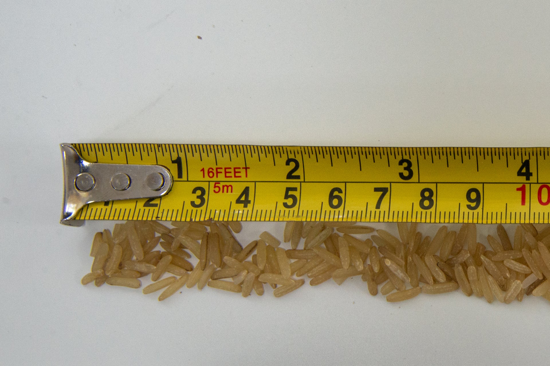 Dyson Gen5detect rice suction test start