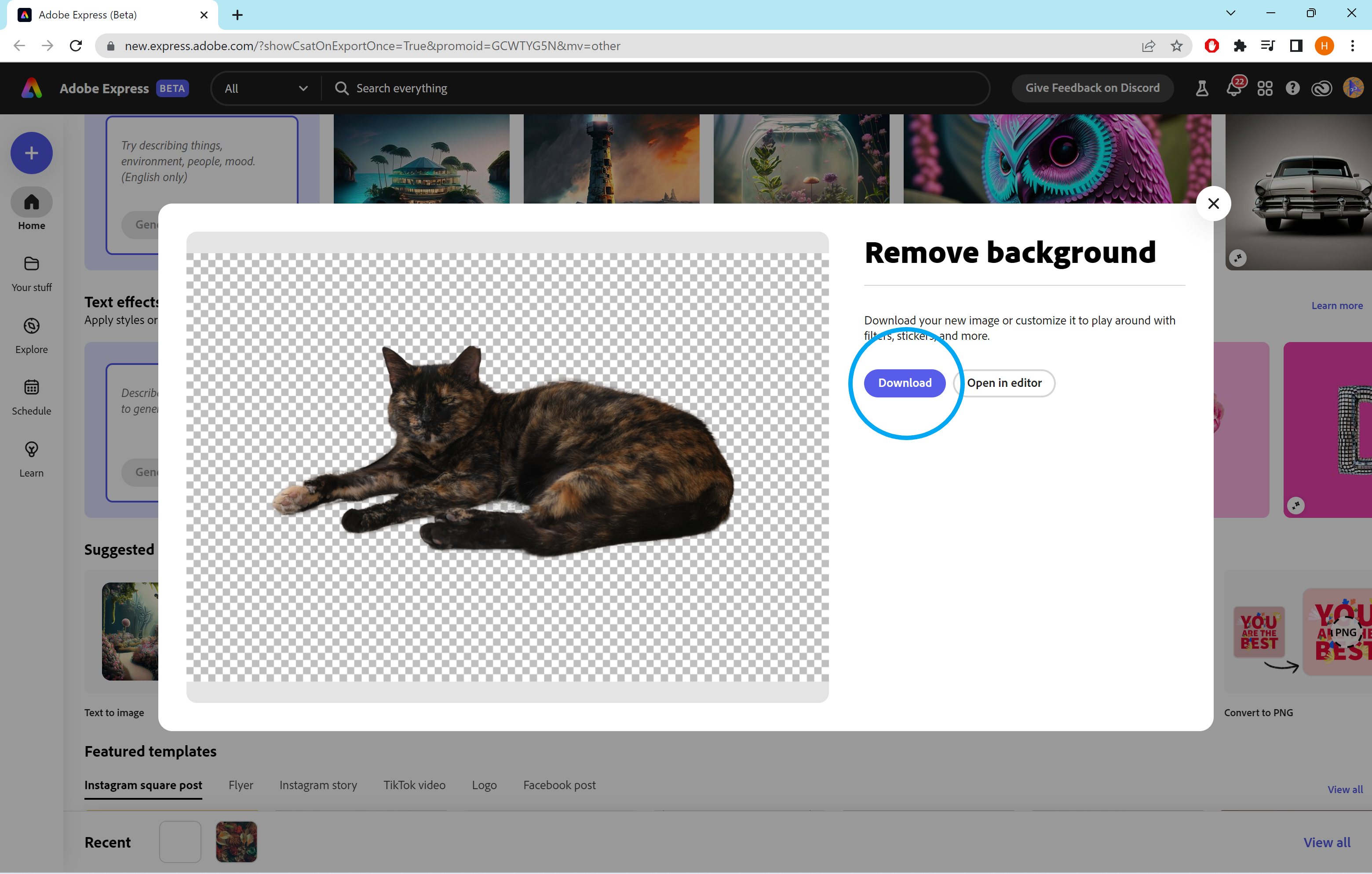 How to remove a background on Adobe Express