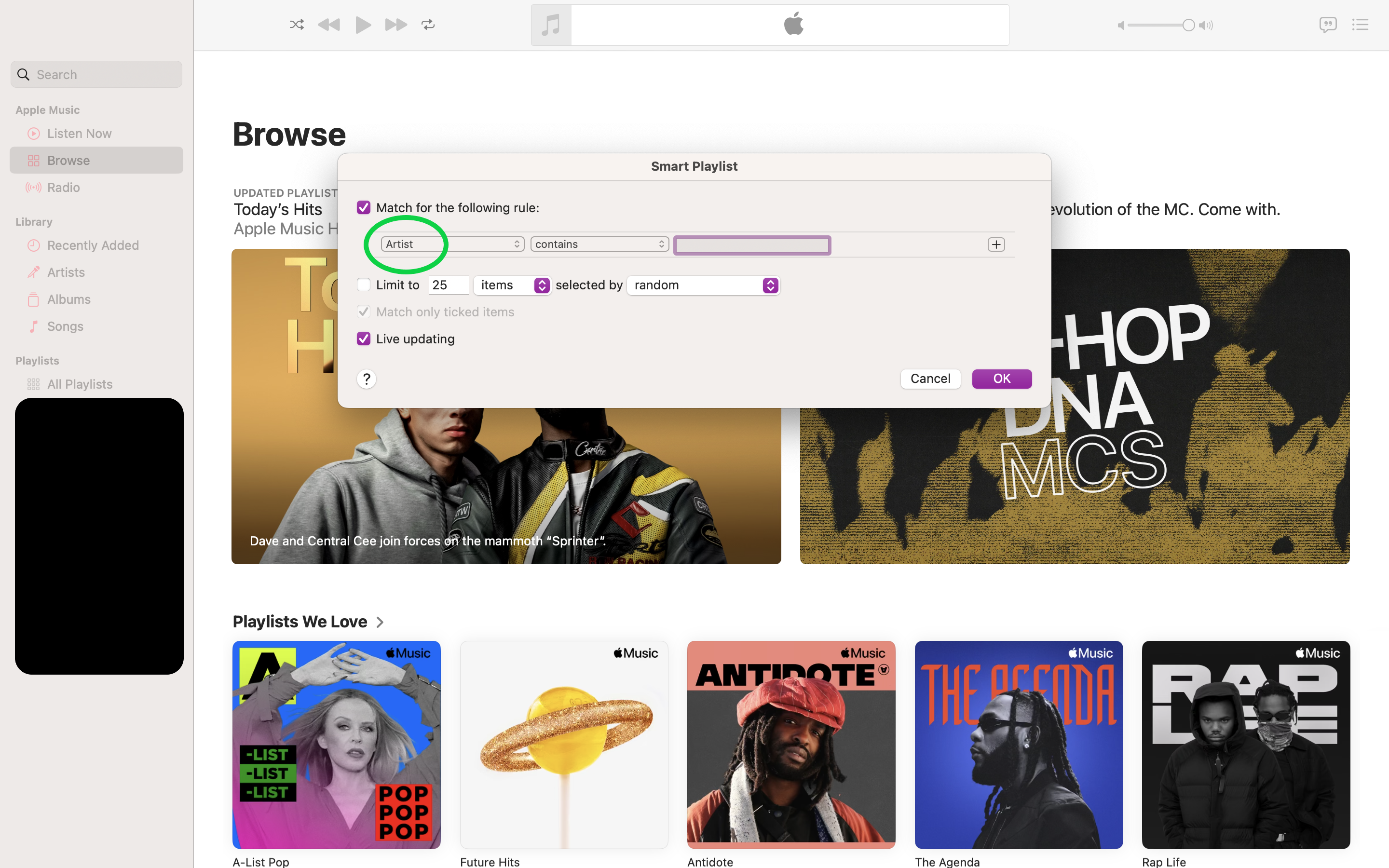How to see loved songs on Apple Music