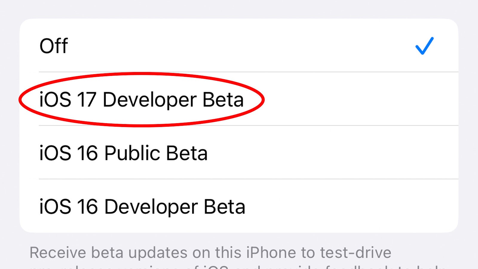 iOS Beta selection menu