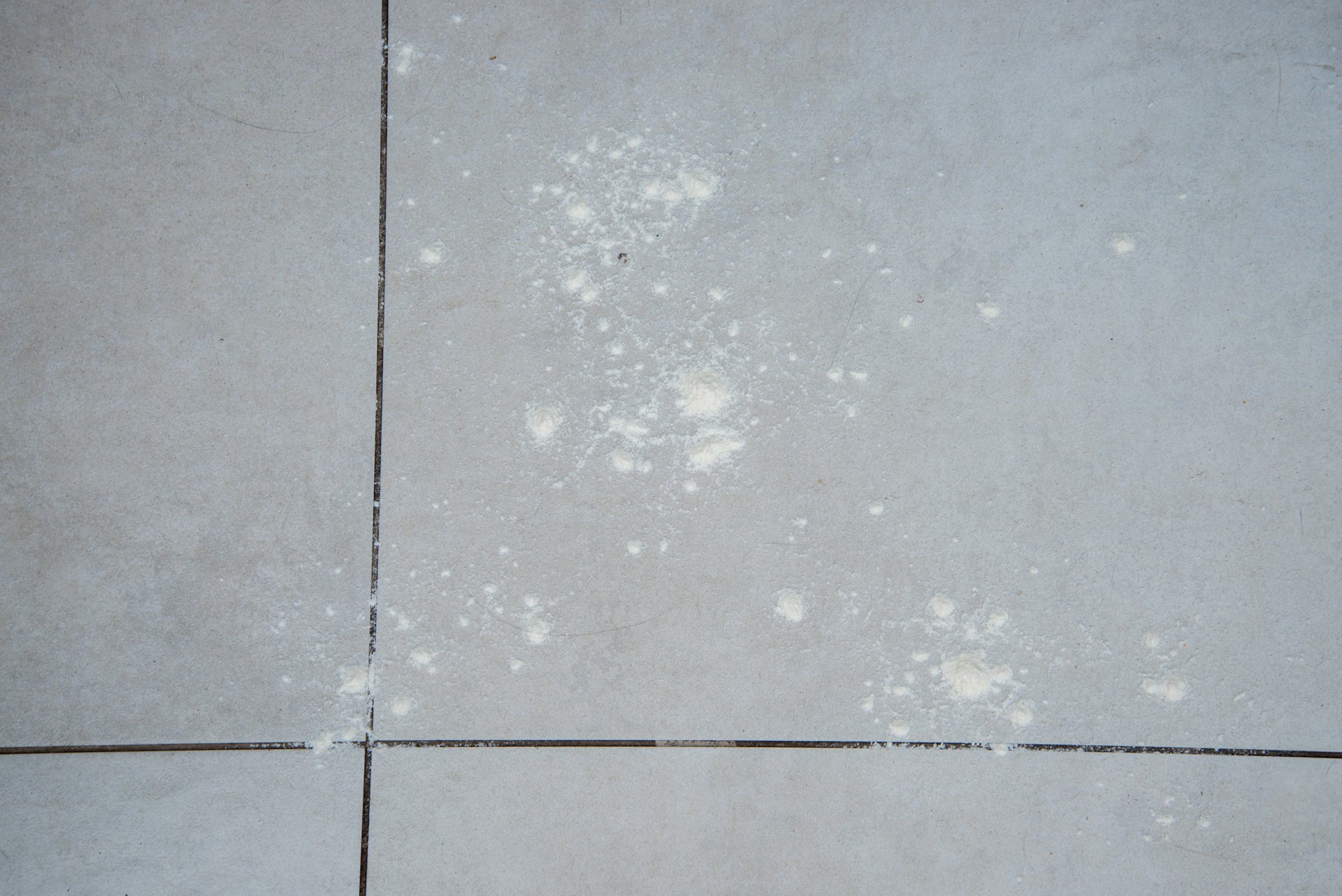 Ecovacs Deebot T20 Omni flour on hard floor dirty