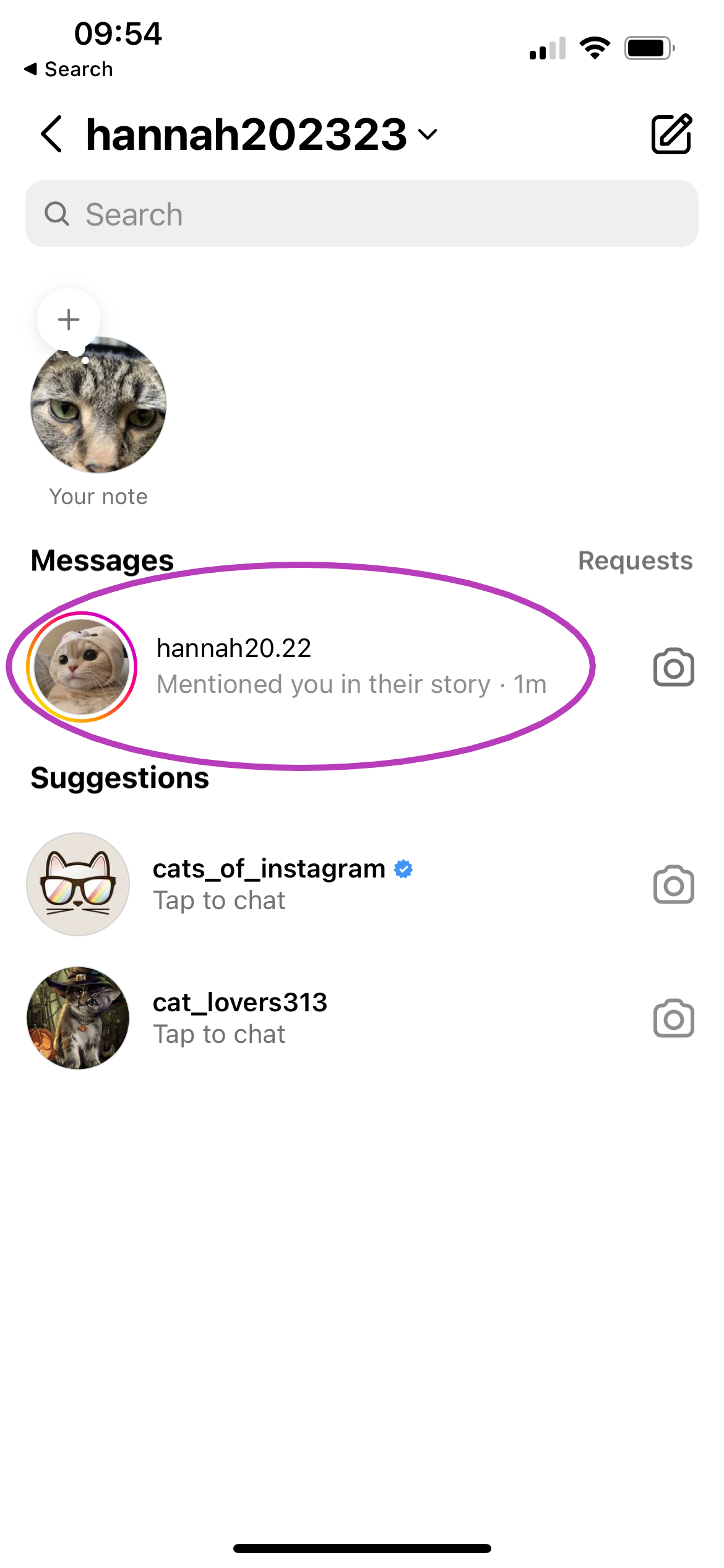 How to repost a story on Instagram