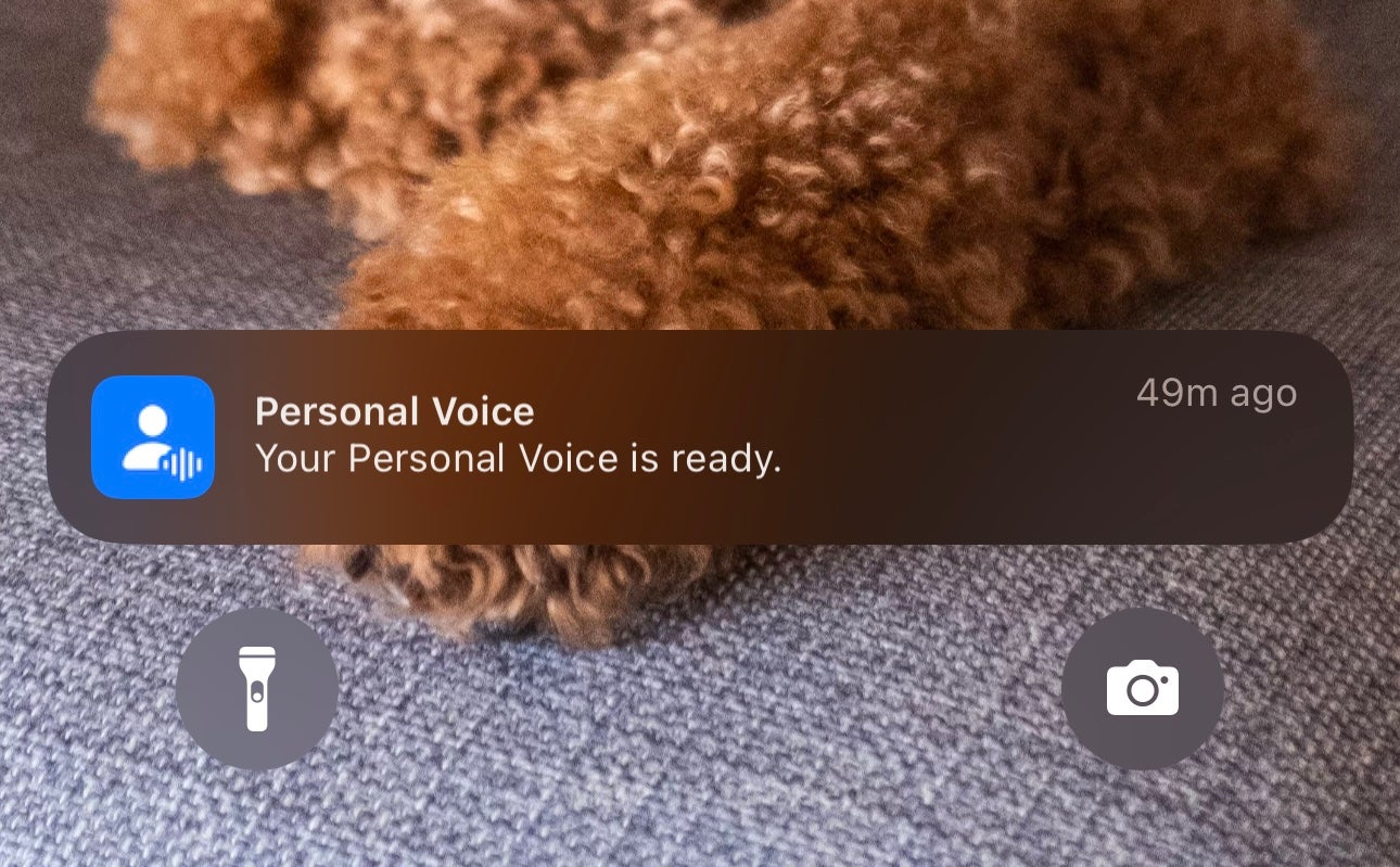 personal voice is ready