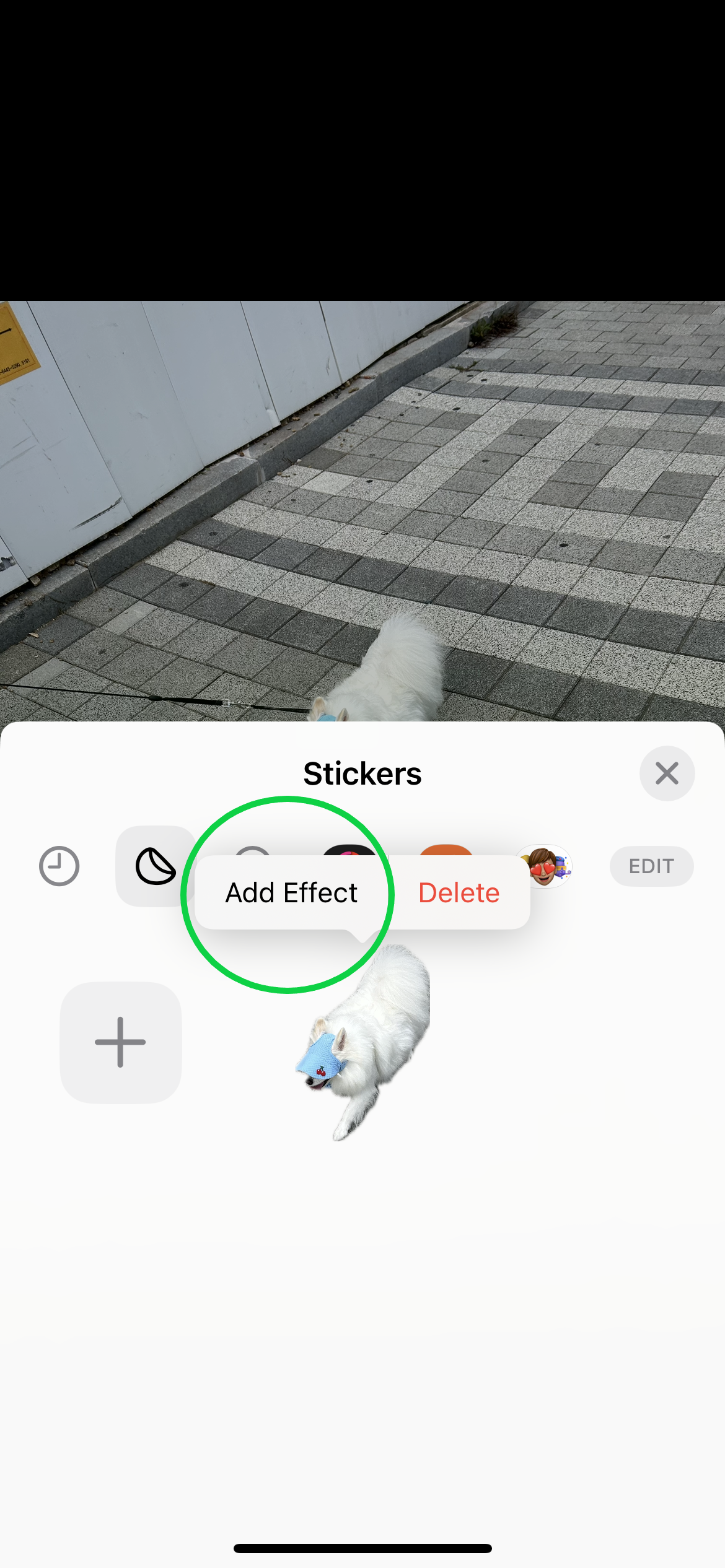 How to create Live Stickers in iOS 17